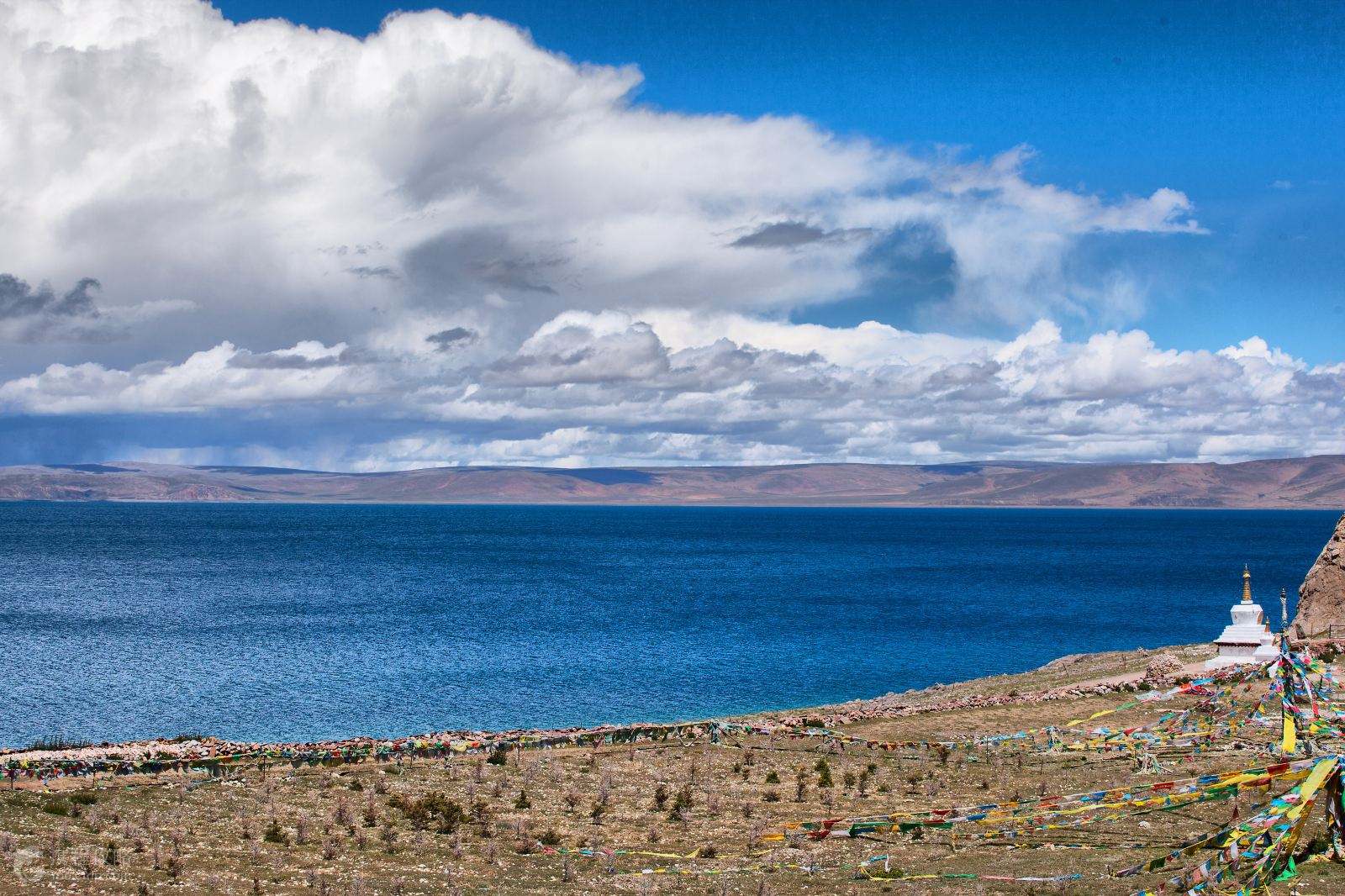 科技重塑高原未来，西藏的崭新篇章