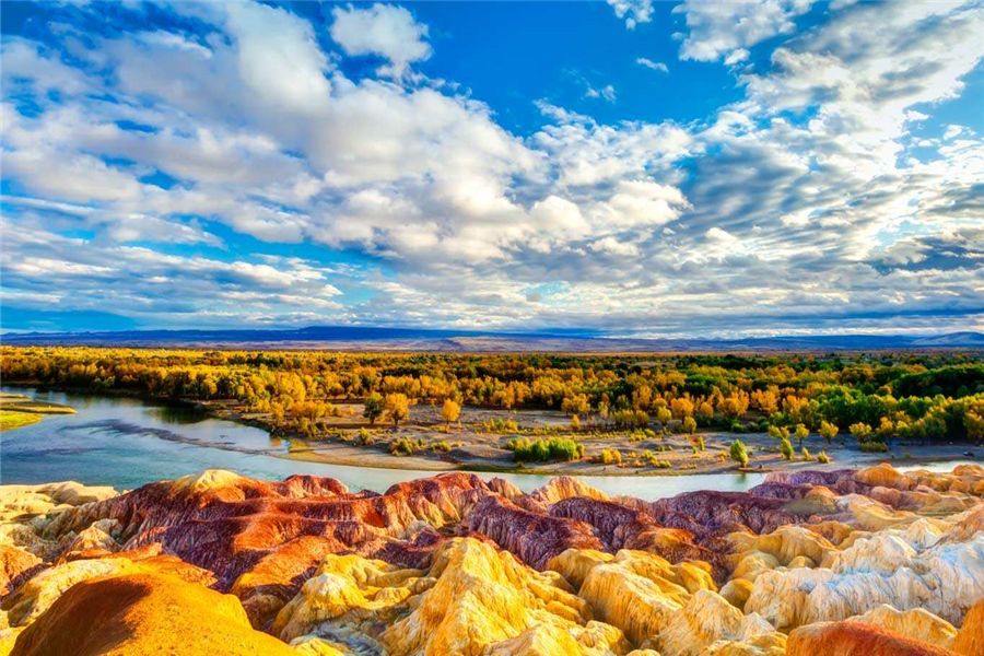 琴韵新疆，古琴诉说广袤草原的深邃之美