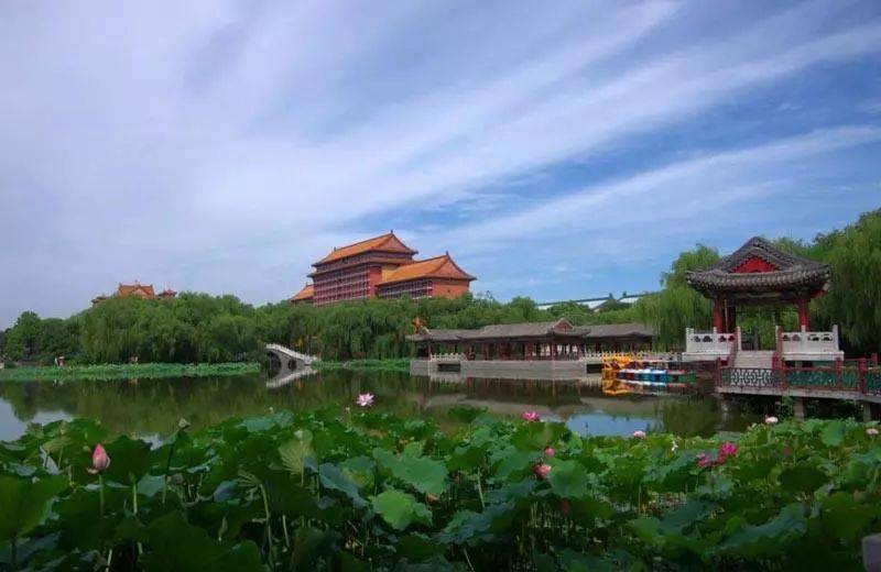 廊坊之旅，深度体验与感悟分享