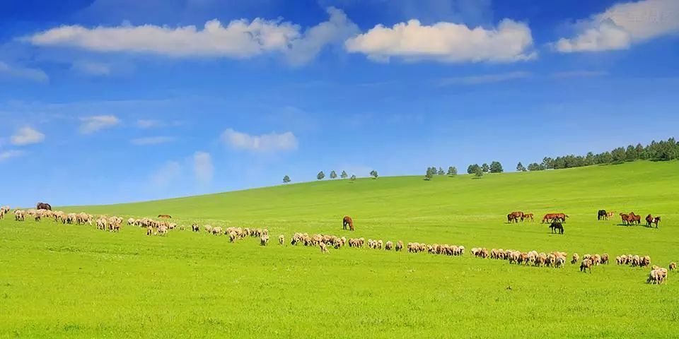 呼伦贝尔,自然与人文的和谐交响