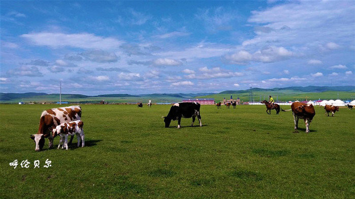呼伦贝尔,中国北疆绿色明珠与民族文化瑰宝的闪耀之地