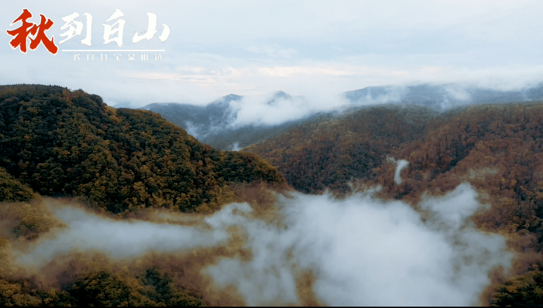 白山，诗意与远方的邂逅之旅